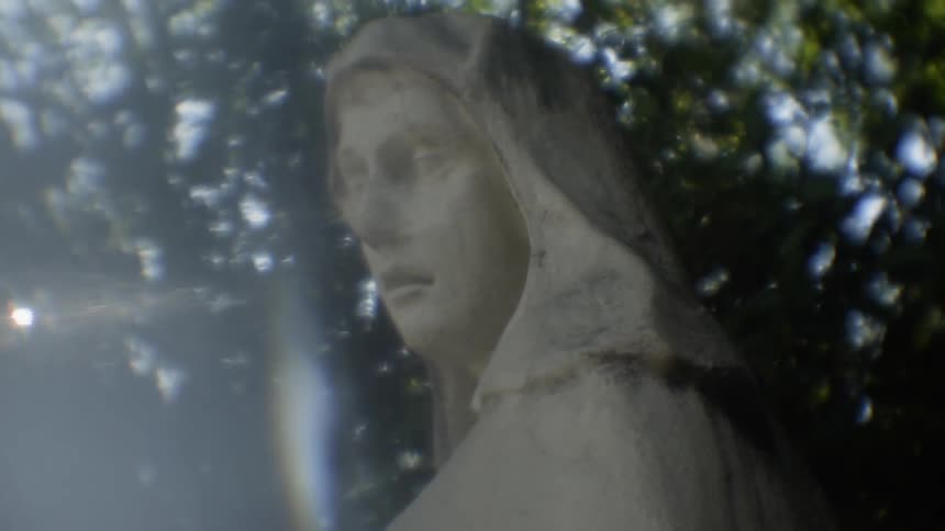 A statue of a woman is by the tree