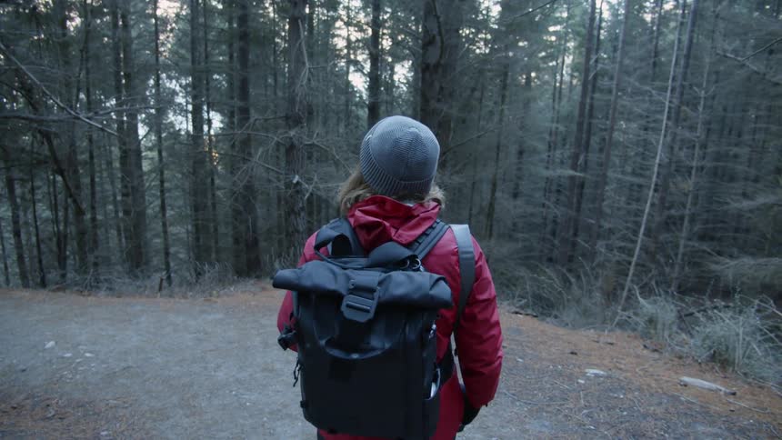 Woman in a red jacket and backpack walks on a trail in the forest