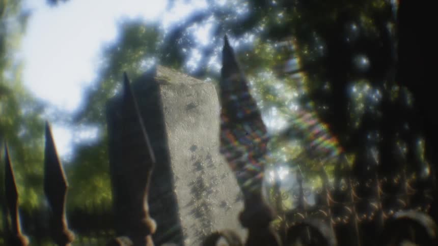 The sun is shining bright in the cemetery