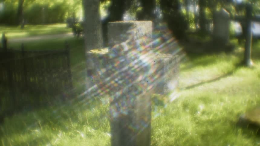 Sunlight shines on a mossy stone cross in a cemetery