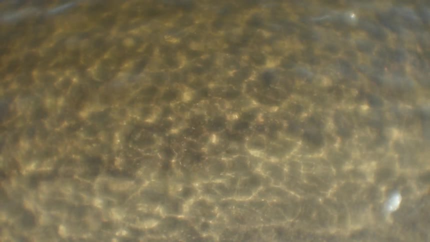 Ocean waves ripple with sunlight glinting off the water