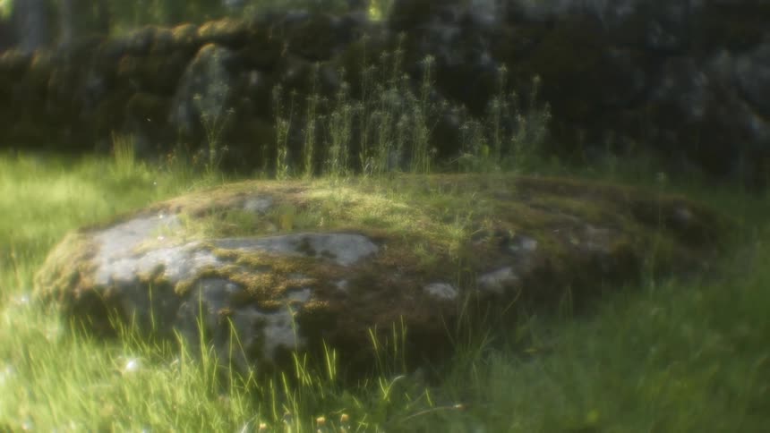 Sun shines down on a large mossy rock and grass
