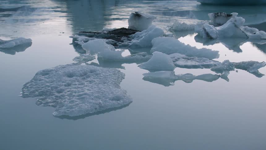 Chunks of ice floating in water on a bright day