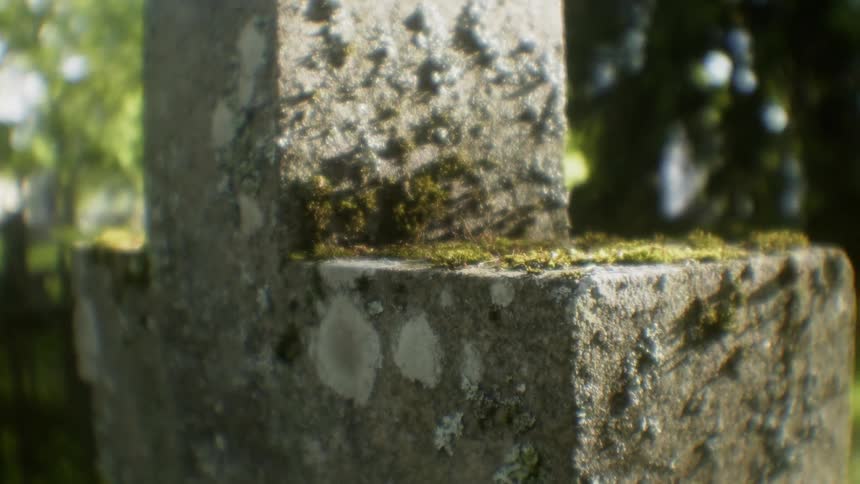 Moss growing on cross shaped tombstone in cemetery