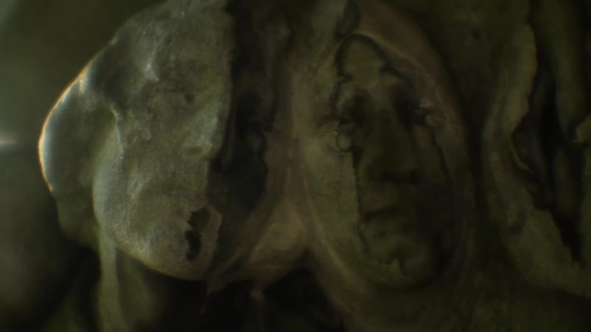 The sun shines on aged carved stone faces