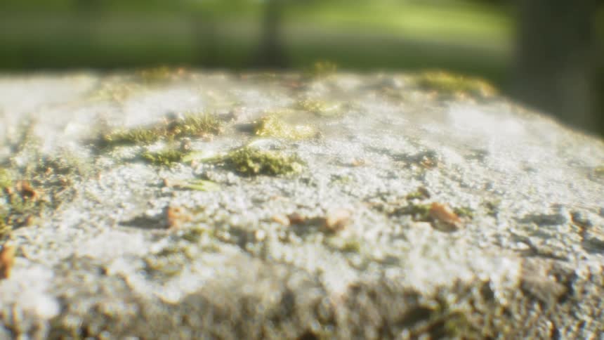 Debris sits on a cement structure in an outdoor area