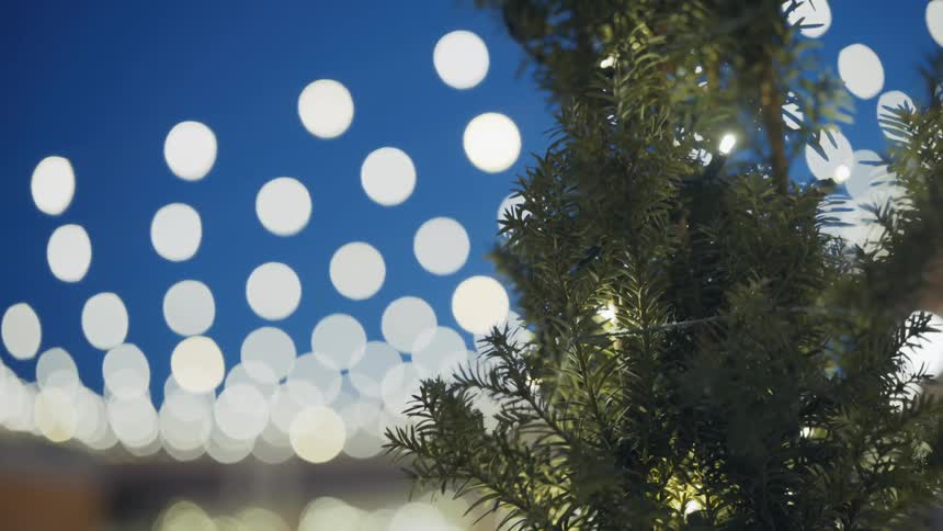 A christmas tree with lights hanging on it sits under a blue roof with round lights overhead