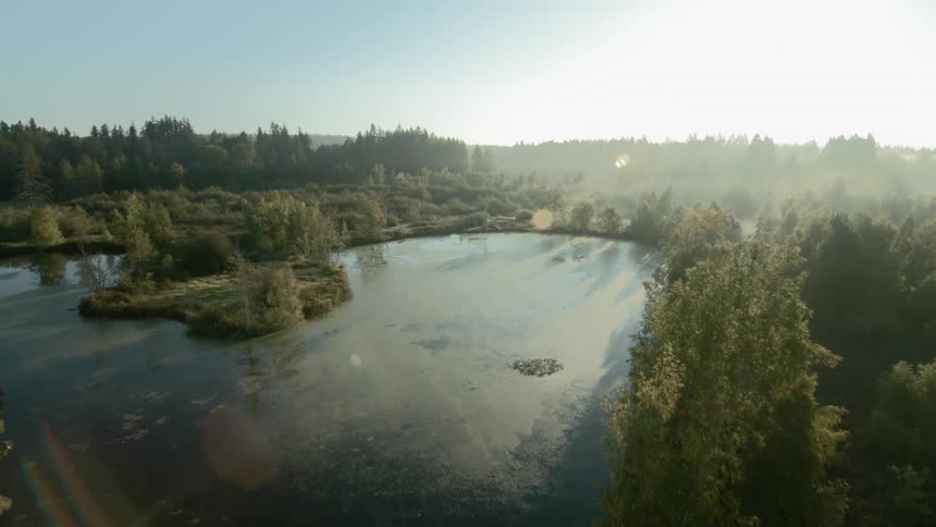 Aerial view of a small lake in a forest