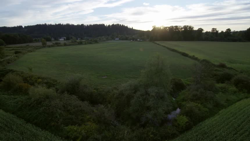 A farm meadow