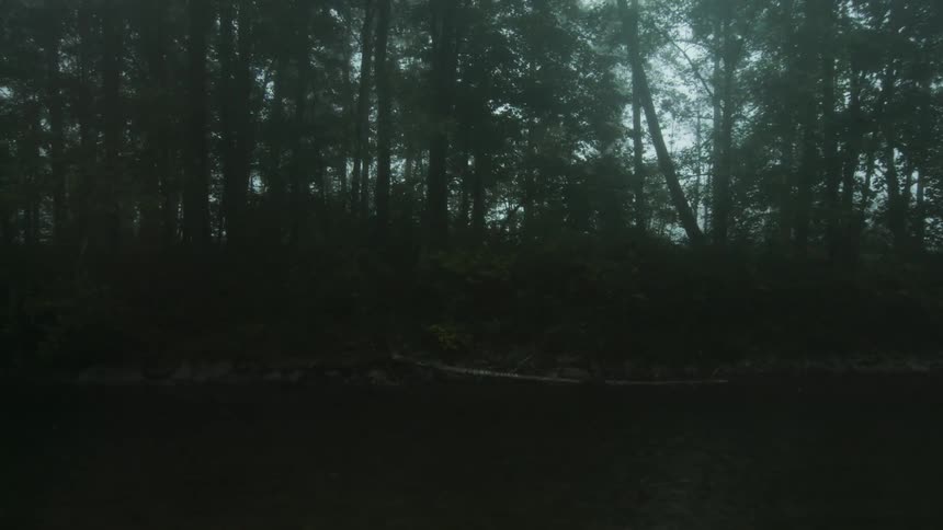 Mountain Forest Aerials