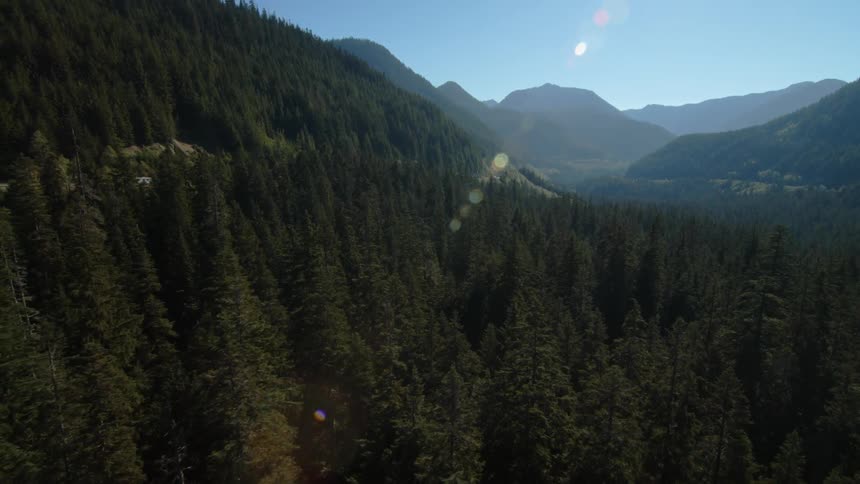 Mountain Forest Aerials