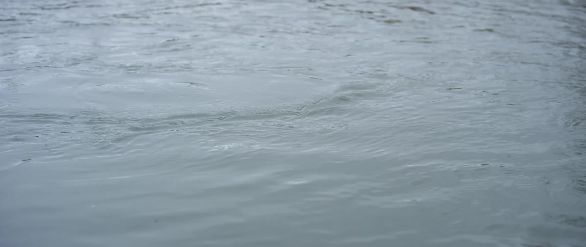 Ripples on a body of water