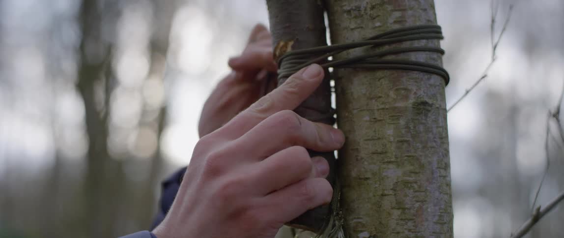 A man securing a piece of wood on a tree