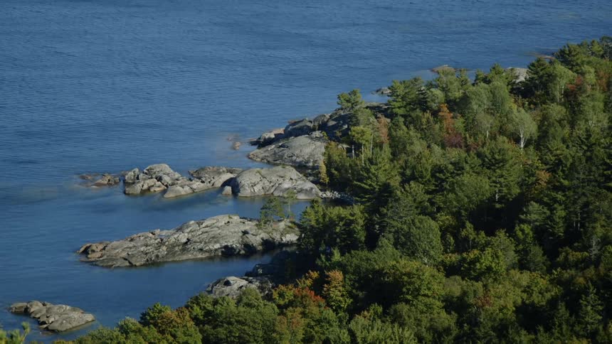 Island of trees next to rocks and a large body of water