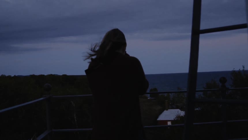 A woman standing on the top of a tower at dusk