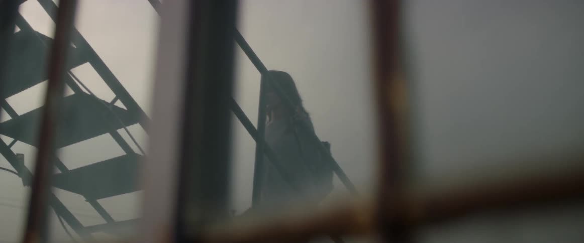 A woman climbs up the stairs to a building
