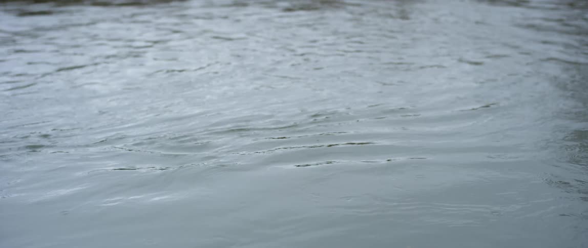 Ripples on a body of water