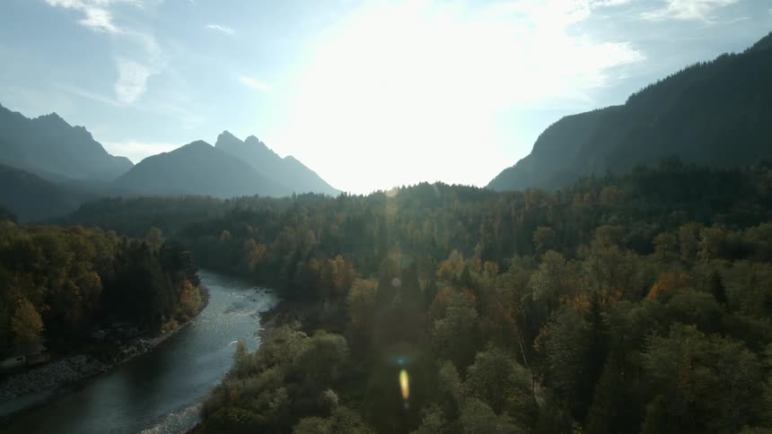 Sun is filtering through the trees
