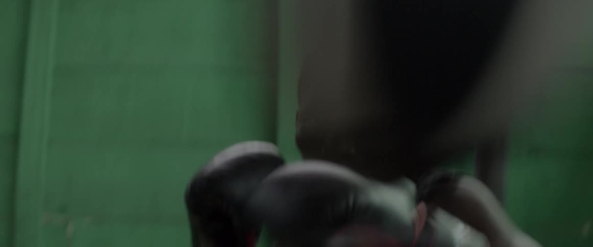 Boxers Training