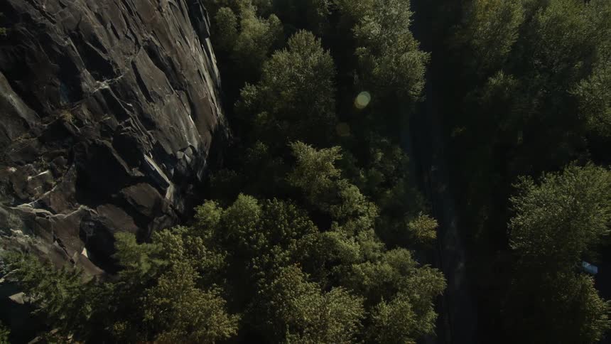 A mountain is shown above trees