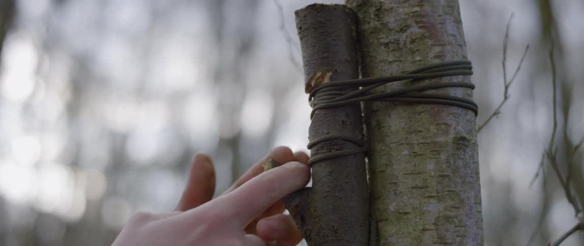 Person fastens rope around two tree branches