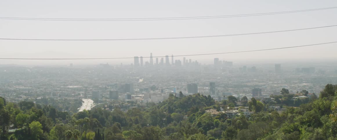 Power lines over trees and a city in the background