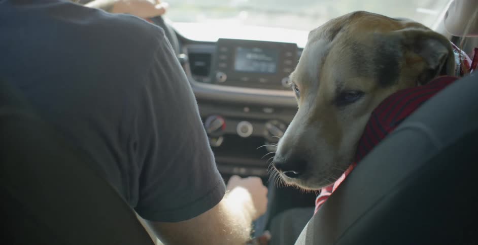 A dog sits with a woman in the passenger seat as a man drives