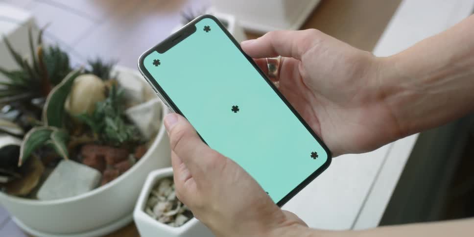 A person holds a cell phone, looking at the screen