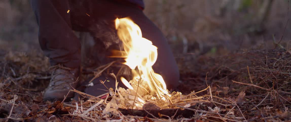 Man Camping In Woods