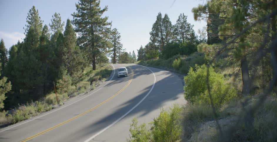 A person is driving a car during daylight