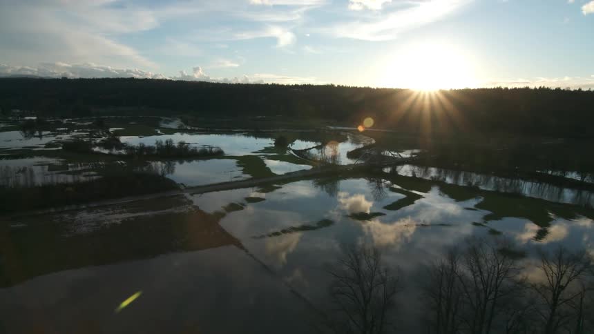 The marsh is dividing the lake