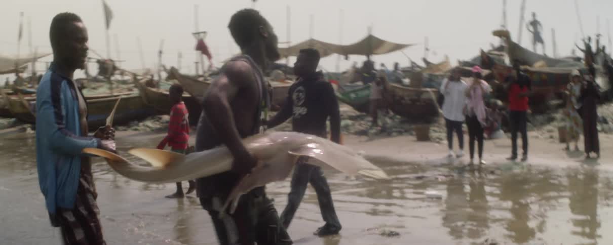 A man picks up a large fish while another man helps carry by the fishes tail