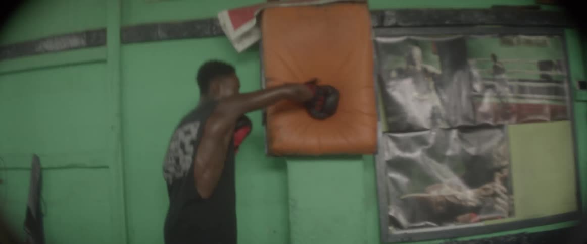 Boxers Training