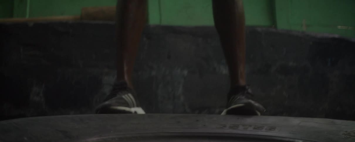 Boxers Training