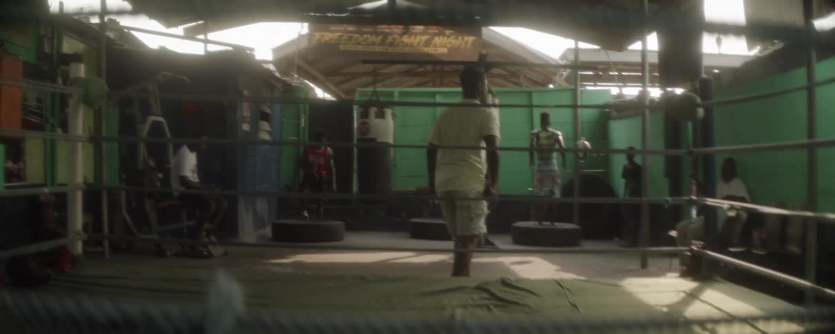 Boxers Training