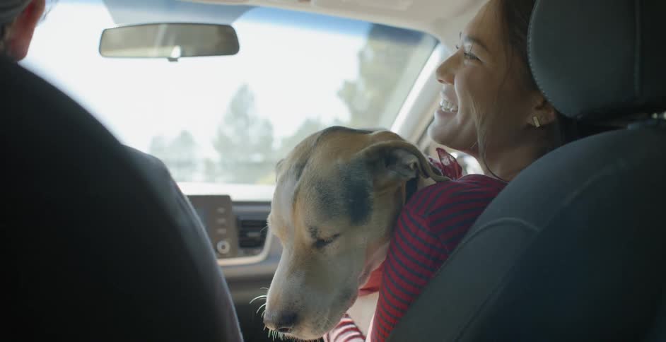 A woman holds a dog while riding in a car driven by a man
