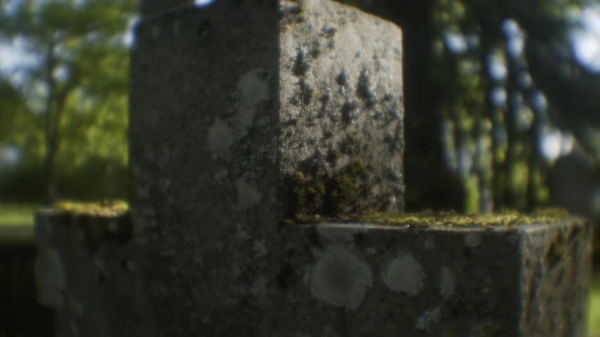 Moss covered gravestone in a cemetery