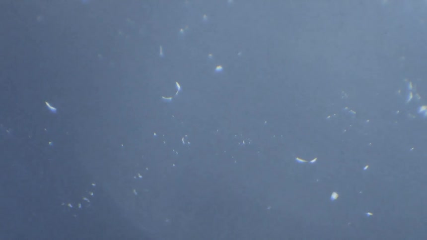 A lot of line lighting up in the sky from underwater