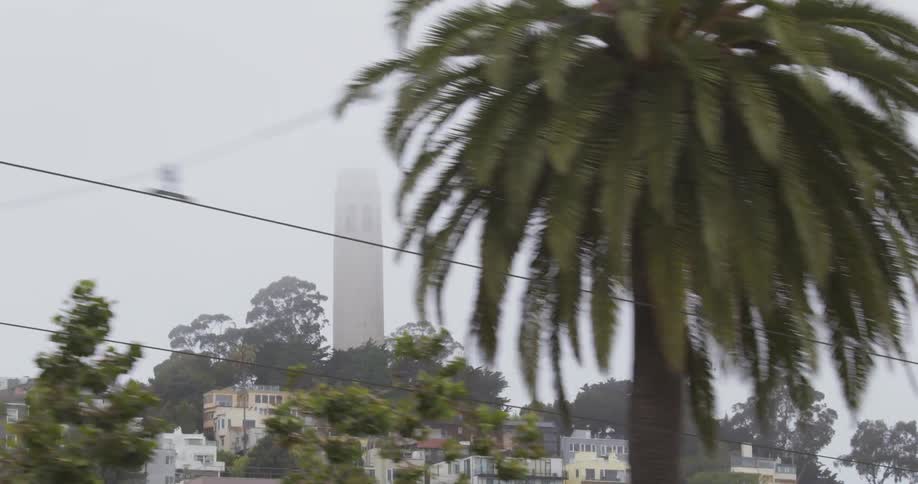 Coit tower in san francisco sits atop a hill covered in clouds