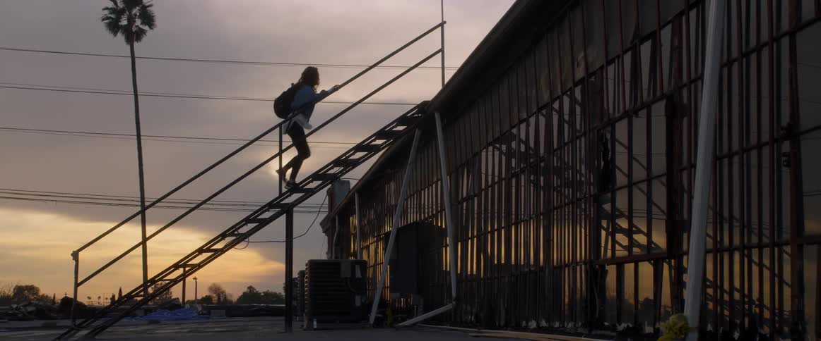 A woman walks up stairs in the sunset
