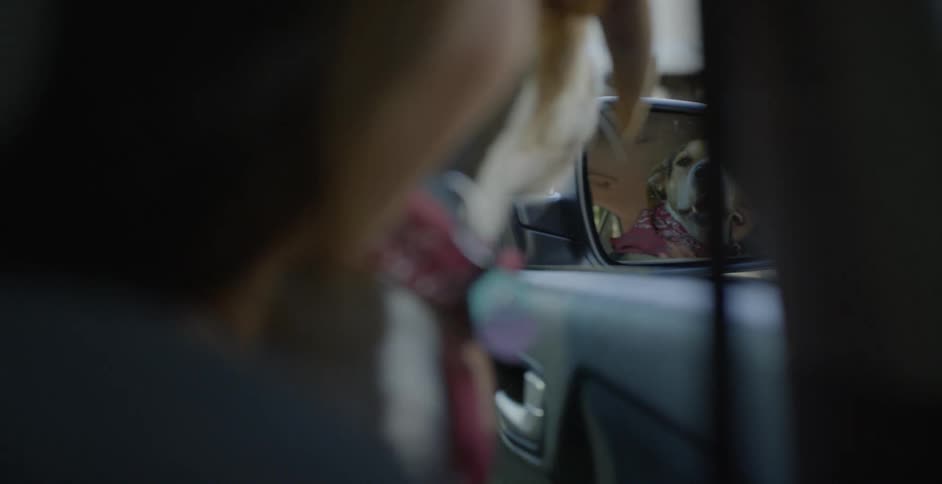 A dog looks at itself in a cars side mirror as it sits on a woman's lap