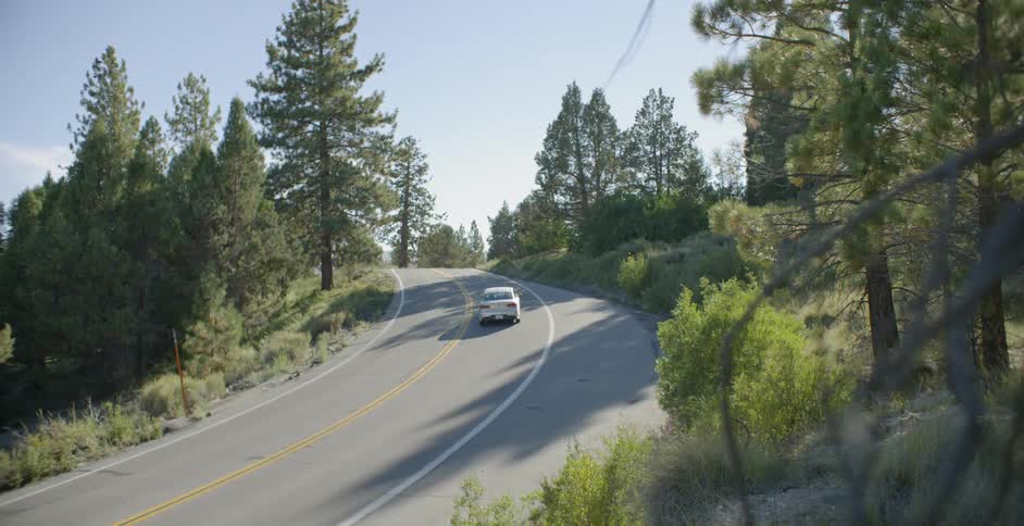 A car drives along a country lane through the forest