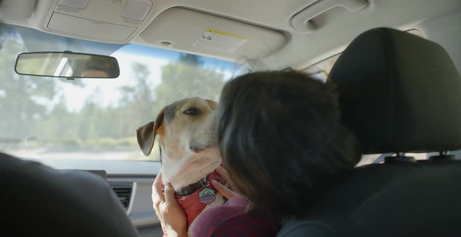 A dog sits on a woman's lap in the passenger seat