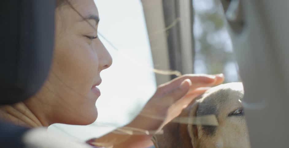 A woman smiles and pets a dog that's leaning out the passenger window