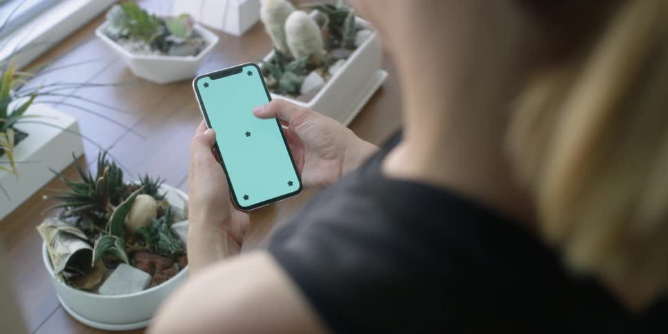 A woman uses a cell phone near potted cacti