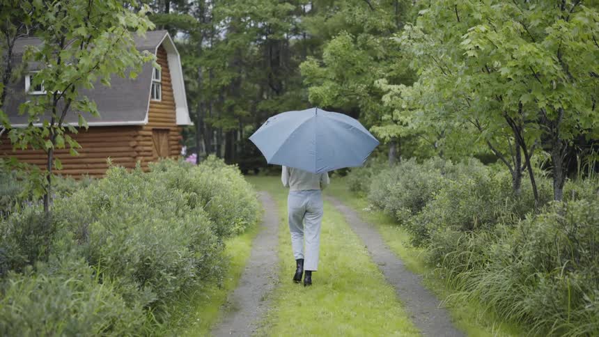 A woman walks along a cars path with an umbrella walking towards a barn