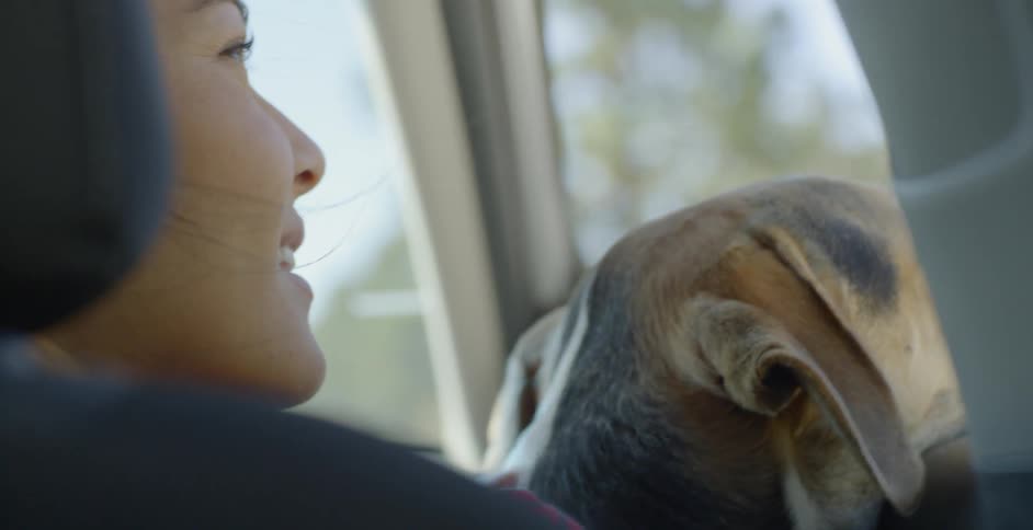 A woman pets a dog that is sitting in her lap in the passenger seat of a car