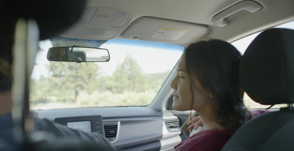 A woman pets a dog and stares at a man as he drives a car