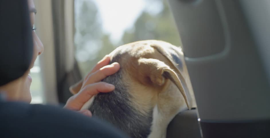 A woman smiles and pets a dog that is sitting on her lap in a car