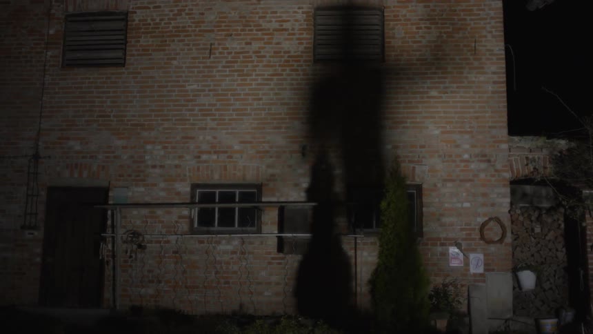 The shadow of a person dances on a building in the dark